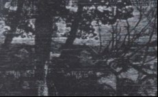 roadblock style print of river edge in the Cotter