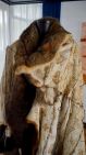 picture of possum skin cloak made by Ngunnawal women