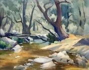 watercolour painting of Paddy&rsquo;s River  